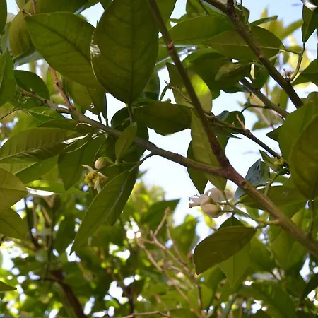 Appartement Ilgiardinodilina