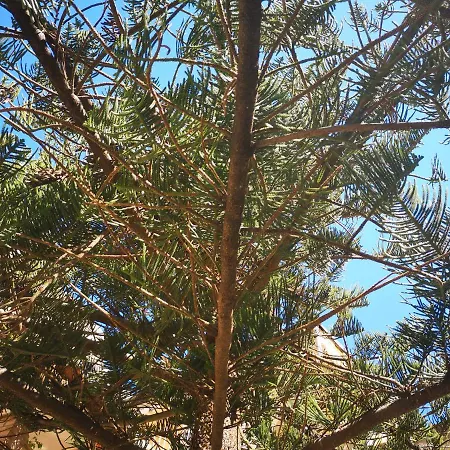 Ilgiardinodilina Διαμέρισμα *