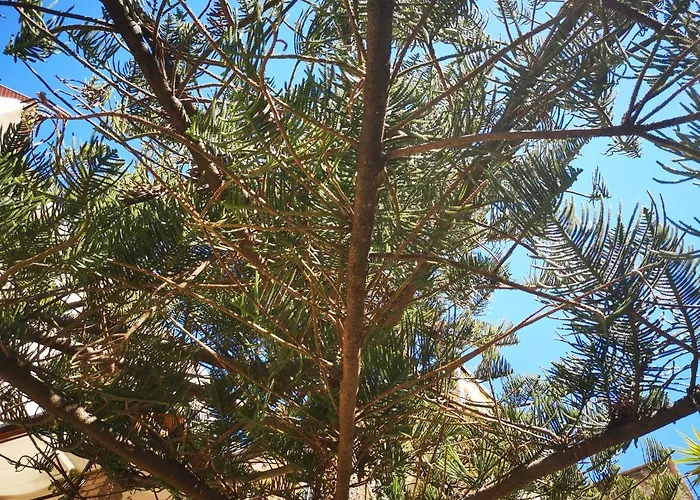 Ilgiardinodilina Διαμέρισμα *